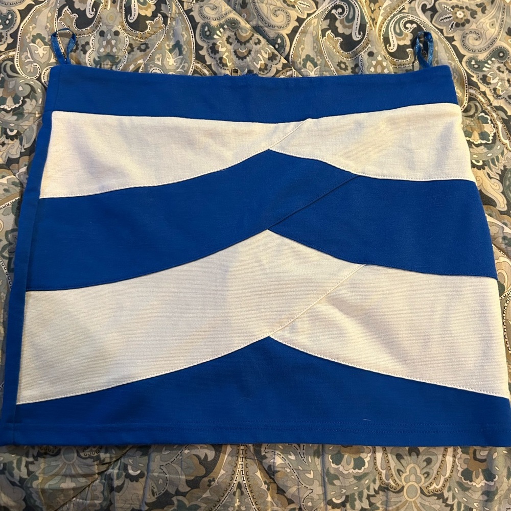 Tobi Blue and White Mini Skirt